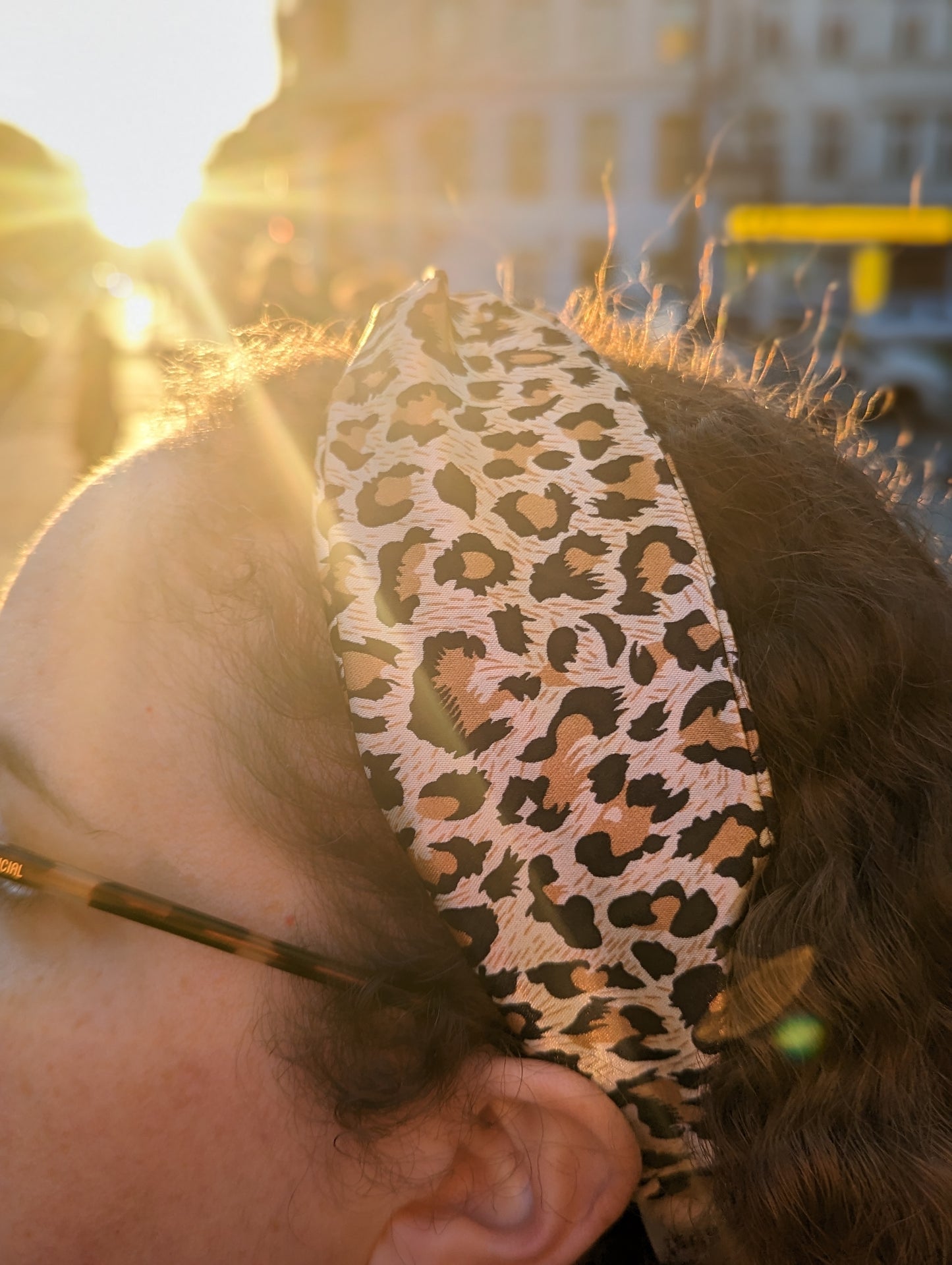 Leo Satin Headband